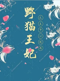 宁安王的小野猫