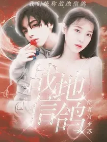 华晨宇：战地信鸽