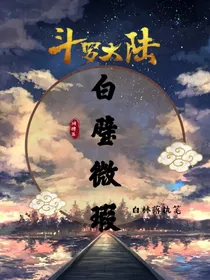 魂斗大陆：白璧微瑕