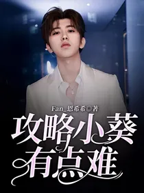 攻略小葵有点难