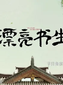 漂亮书生：云上恋歌