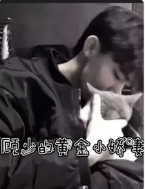 顾少的黄金小娇妻