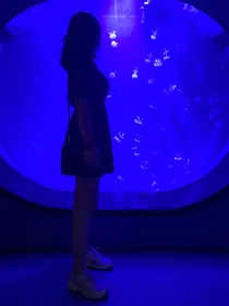 日常小开心