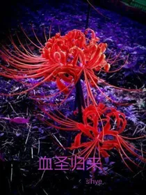 血圣归来（改编）