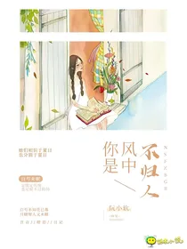 你是风中不归人