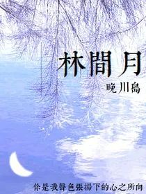 林间月