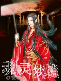 魂灵梦境