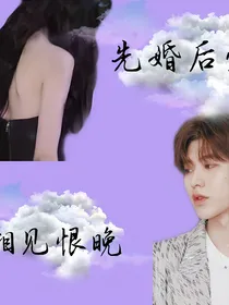 先婚后爱：相见恨晚