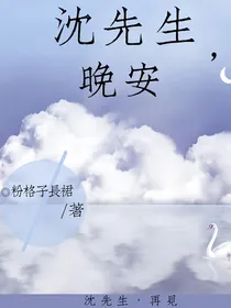 沈先生，晚安