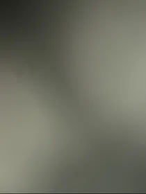 灭……羽族的终结