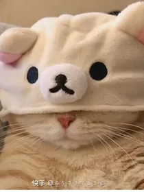 京剧猫第十二道门——判