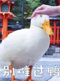论指北针们的爱情