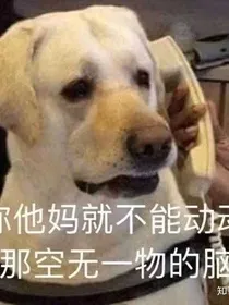 盛夏心动