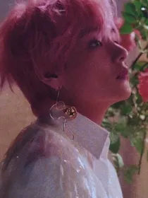 bts：末世佳人