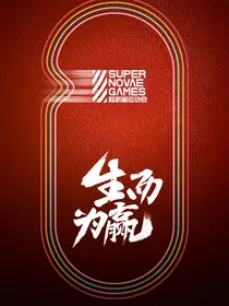 R1SE：你好傻
