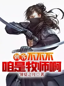 刺客？不不不咱是牧师啊