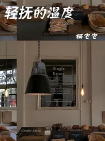 轻抚的温度