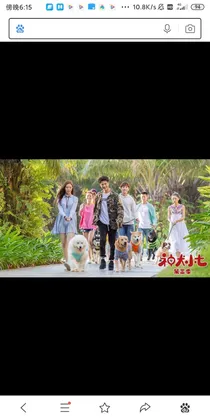 神犬小七新传