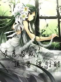 误惹总裁，追妻进行时