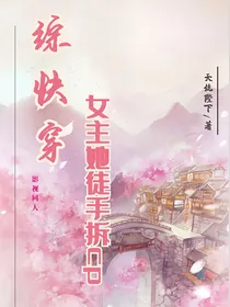 综快穿：女主她徒手拆cp