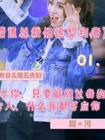 霸道总裁狂追契约妻