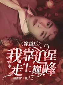 穿越后我靠追星走上巅峰