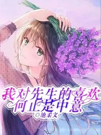 我对先生的喜欢何止是中意