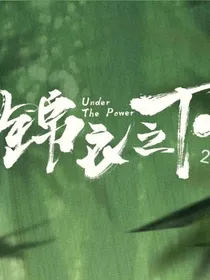 锦衣之下2（玖ying）