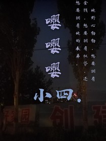 陆年南随笔嘤嘤嘤