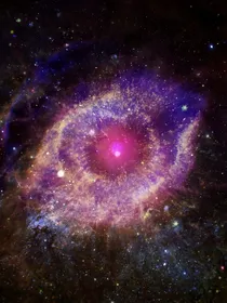 宇宙之怪兽图鉴