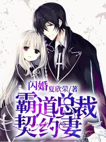 闪婚霸道总裁契约妻