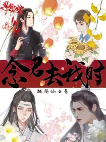 念君去我时