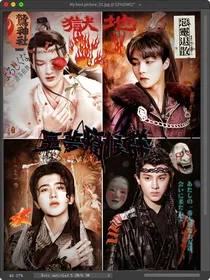 偶练书院：爱豆的将军妃