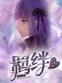 斗龙战士：羁绊