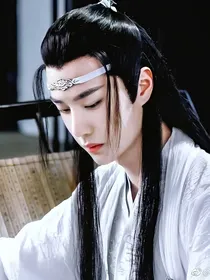 北辰难遇忘机一人