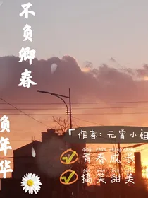 不负卿春，负年华