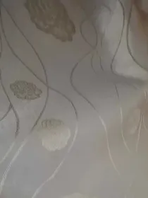 异能孤儿院