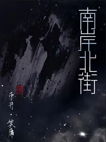 南岸北街