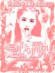 EXO：是心动呀！-d667