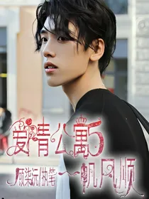 爱情公寓5：一帆风顺