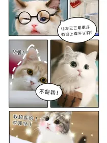 喵咪日常-d201