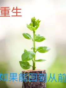 重生之如果能回到从前