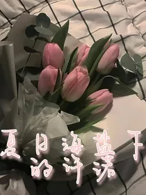 夏日海盐下的许诺