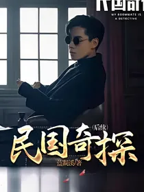 民国奇探后续