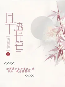 月下透长安