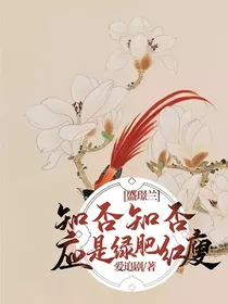 知否知否应是绿肥红瘦——盛璟兰