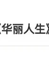 阴阳怪气：华丽人生