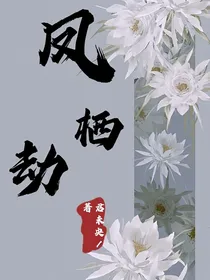 凤栖劫