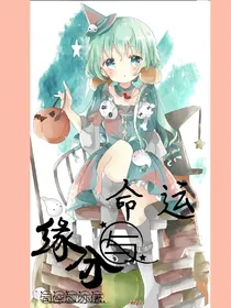 缘分与命运