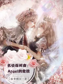 名侦探柯南：Angel的救赎